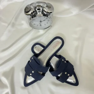 Navy Double-Strap Pointed-Toe Flats | Women's Office & Casual Flat Shoes